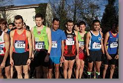 Begles 15.12.13 01 992 * 679 x 453 * (149KB)